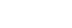 Cybersalon